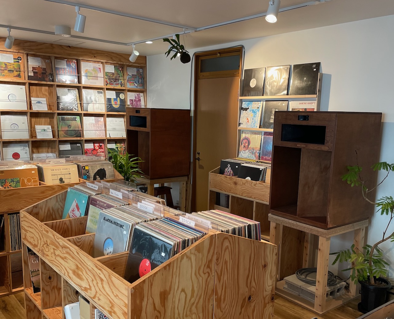 Rana-Musica Record Store - 1 of 4