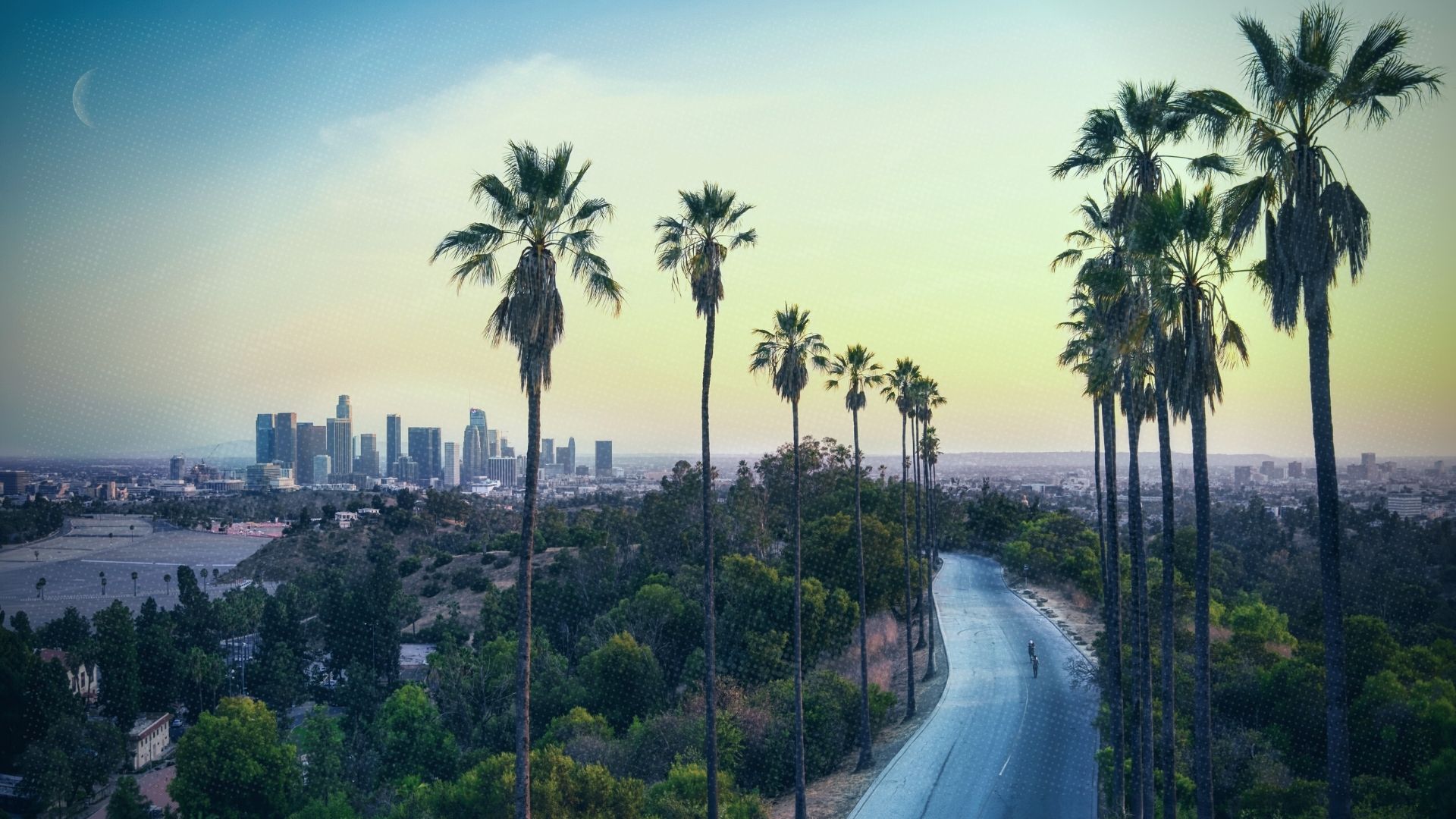 view of palm trees and the los angeles city skyline