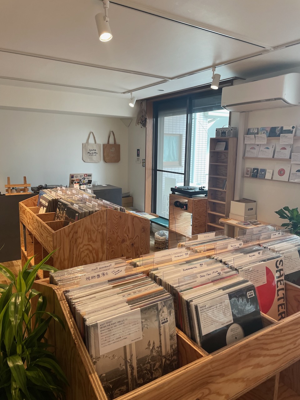 Rana-Musica Record Store - 2 of 4
