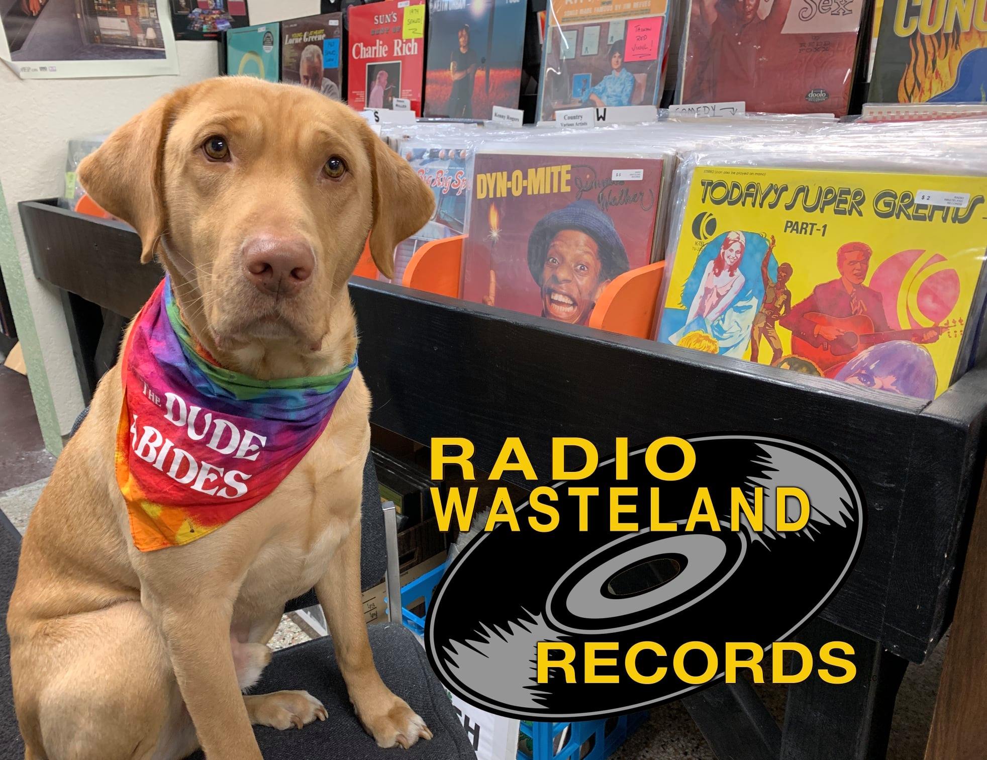 Radio Wasteland Records - 2 of 2