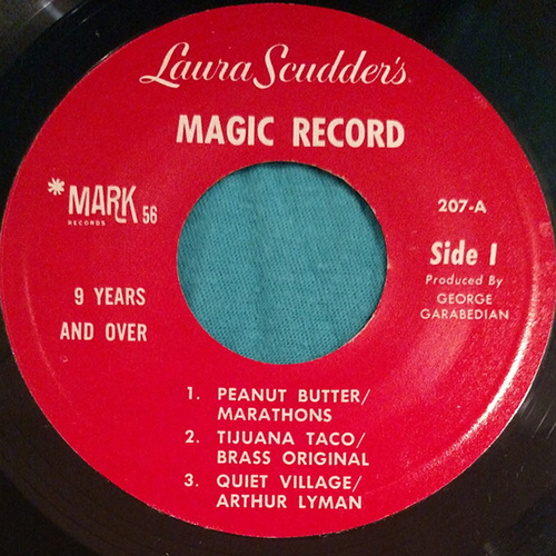Various artists laura scudder's magic record multisided record