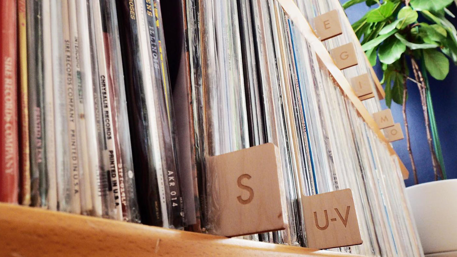a shelf containing many vinyl records in sleeves with wooden alphabetical separators